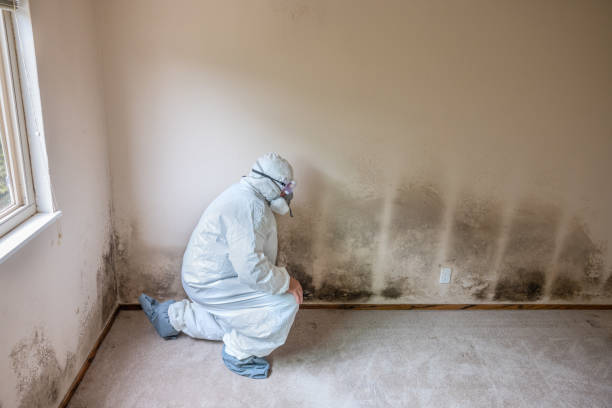 Best Biohazard Mold Removal  in Perry, FL